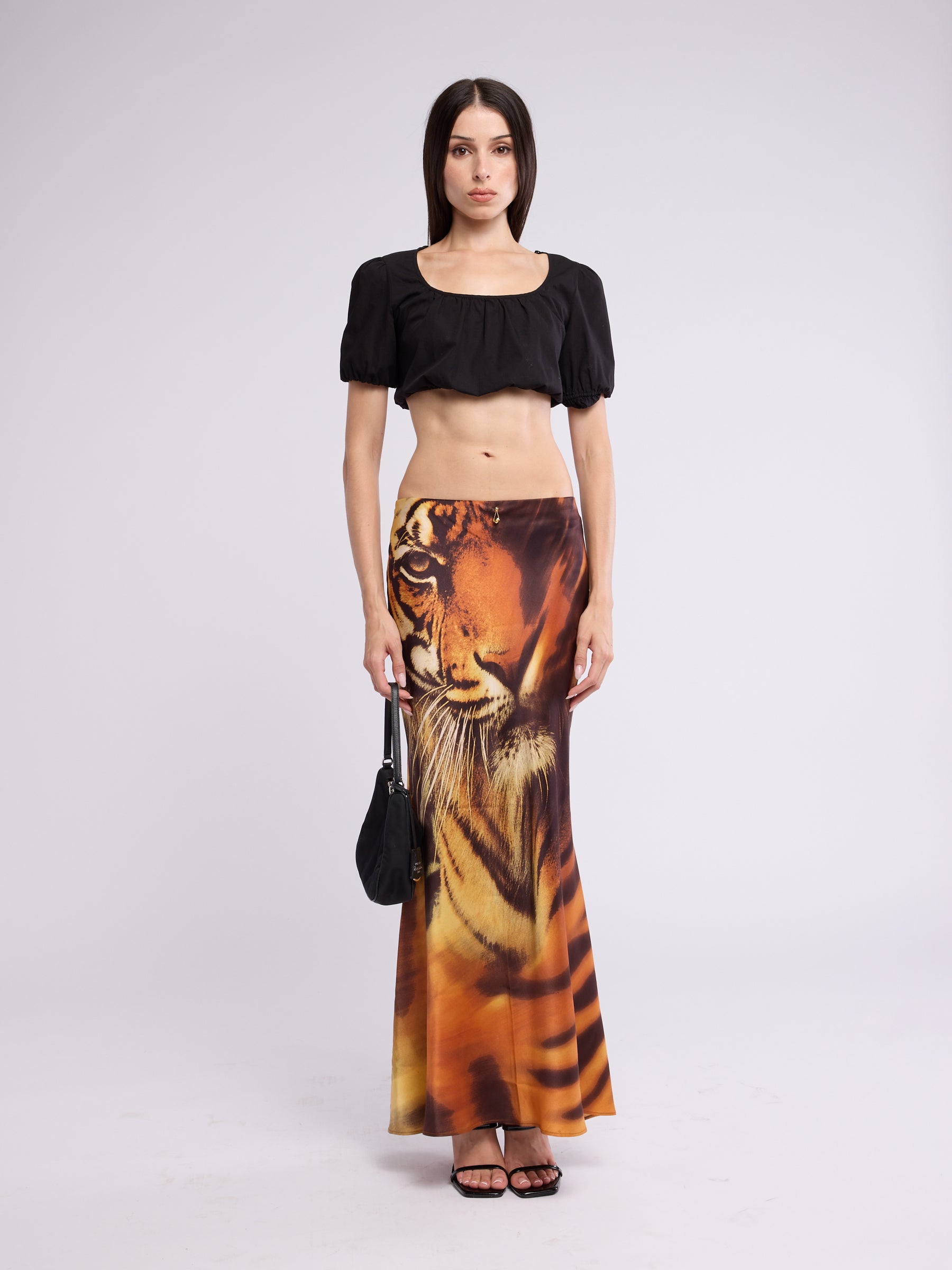 Roberto Cavalli ライオン柄 スカート Roberto Cavalli FW 2000 Tiger Skirt