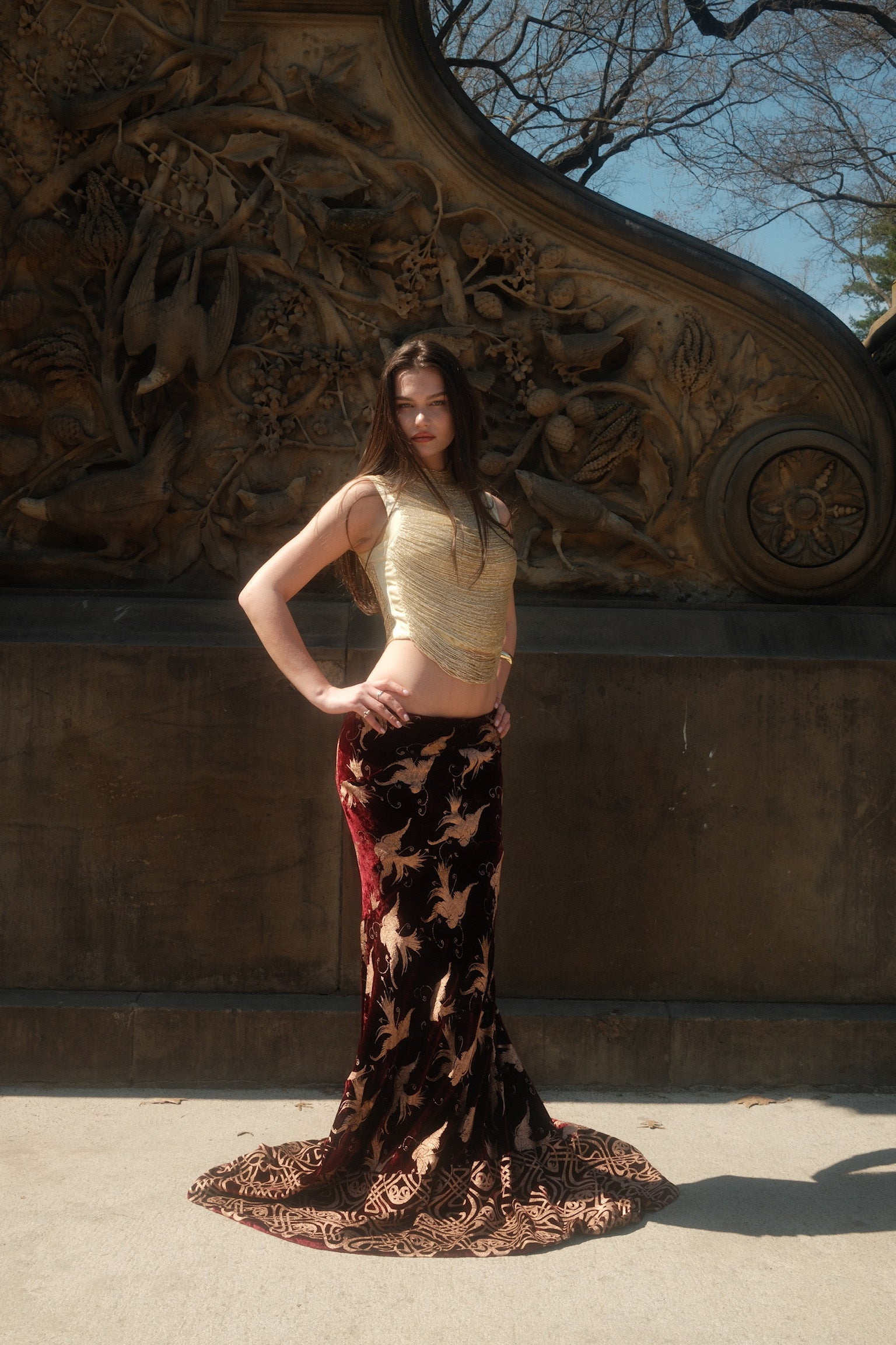 Roberto Cavalli 2006 Runway Velvet Maxi Skirt